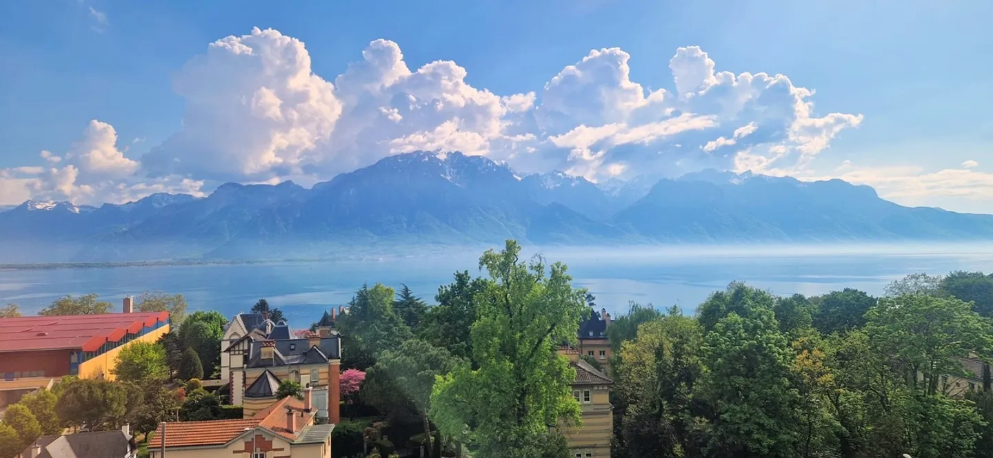 Surface commerciale partagée - Photo 11 sur 13