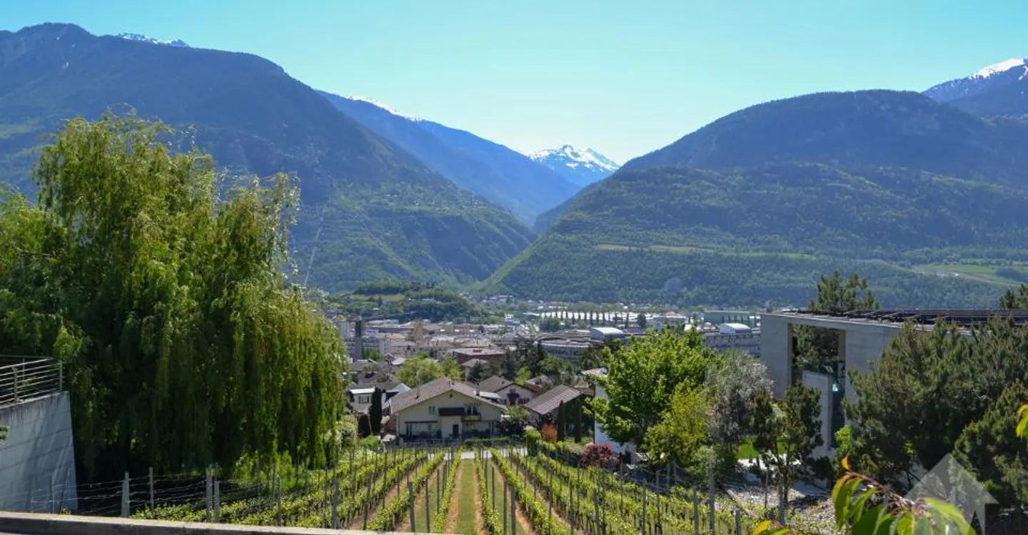 Magnificent plot overlooking Sierre in villa area of 1,099 m2 - Photo 5 of 9