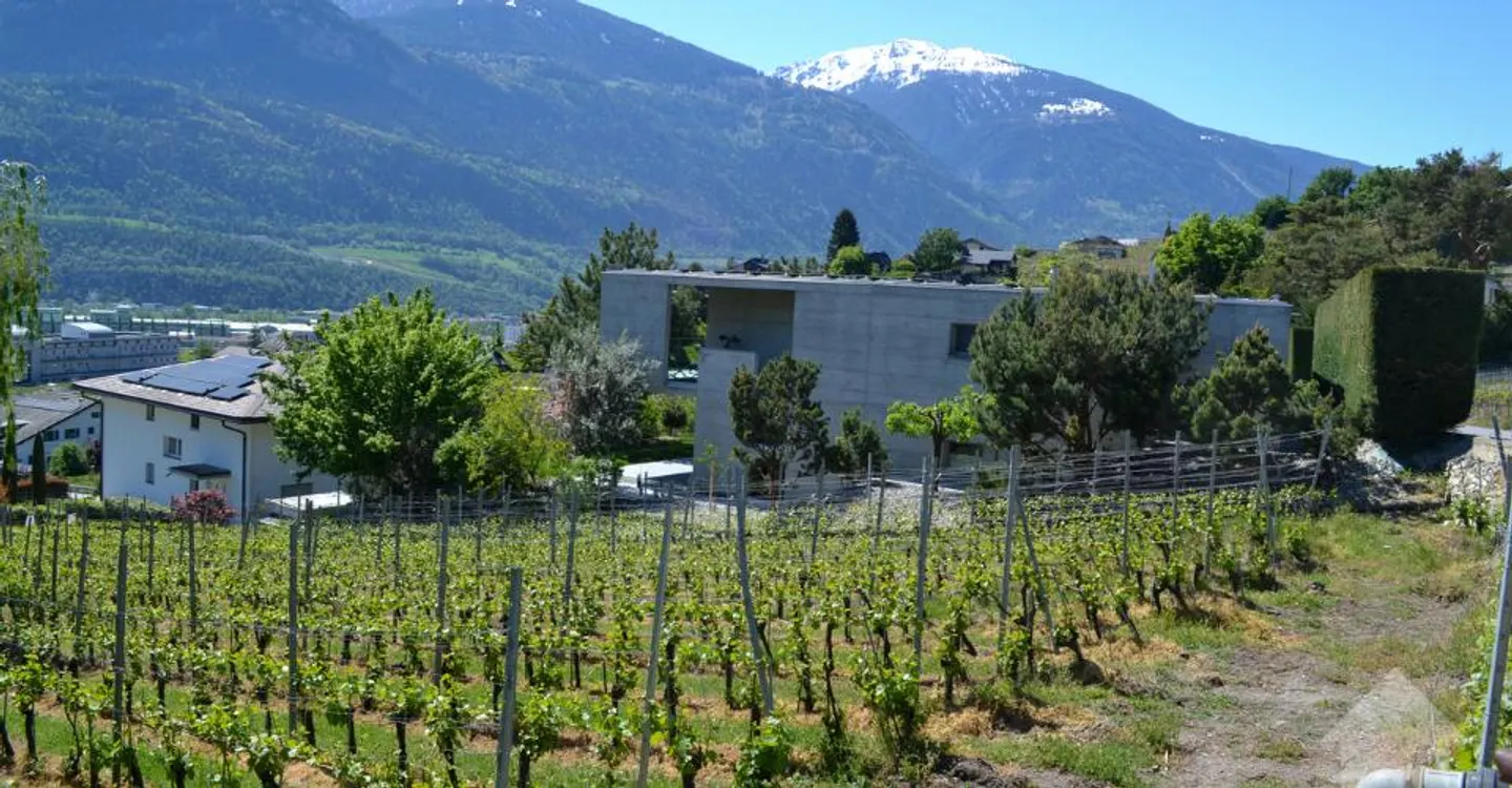 Magnificent plot overlooking Sierre in villa area of 1,099 m2 - Photo 6 of 9