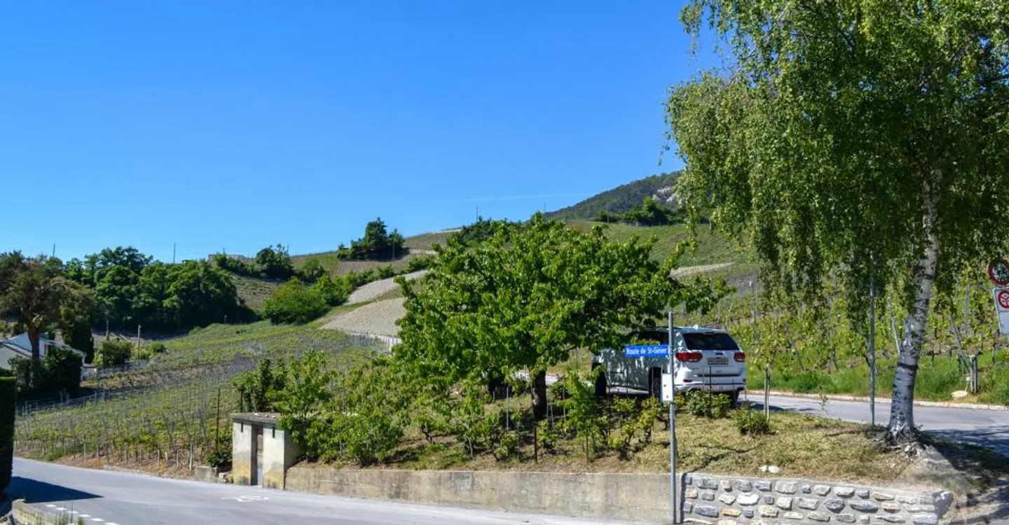 Magnificent plot overlooking Sierre in villa area of 1,099 m2 - Photo 7 of 9