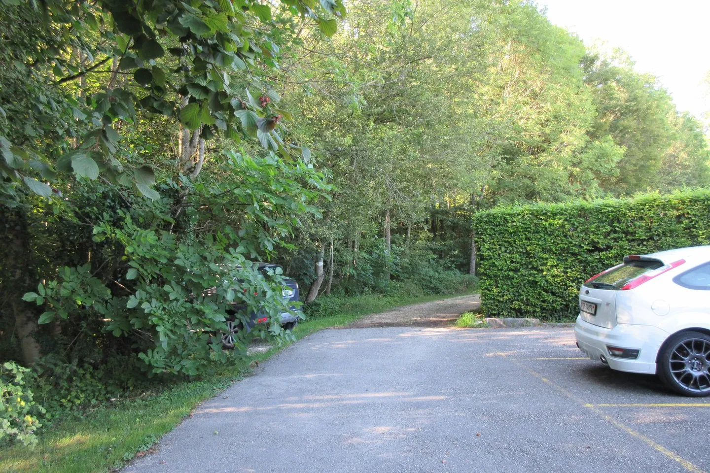 Steuergünstig Wohnen zwischen Naherholung und Stadtleben - Foto 9 von 13