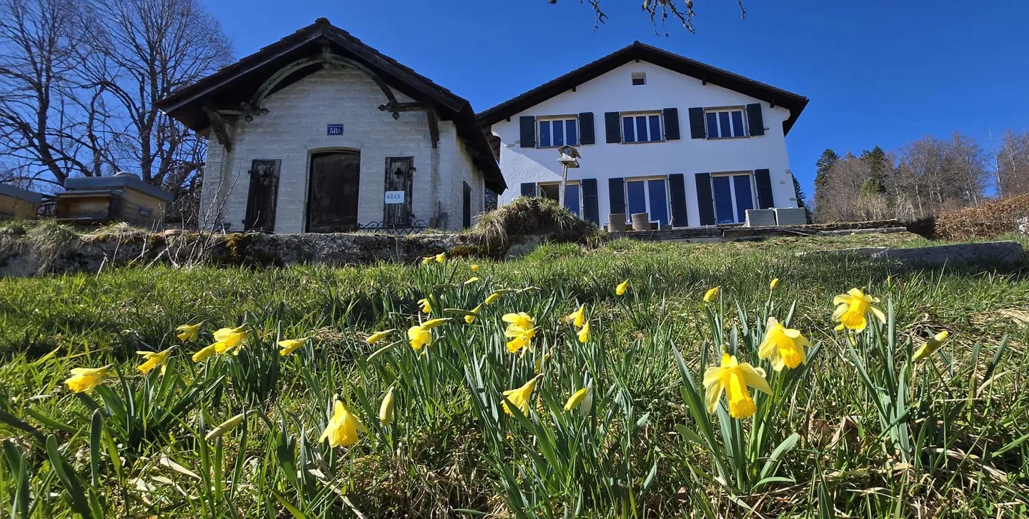 Villa d'exception avec jardin - Photo 2 sur 23