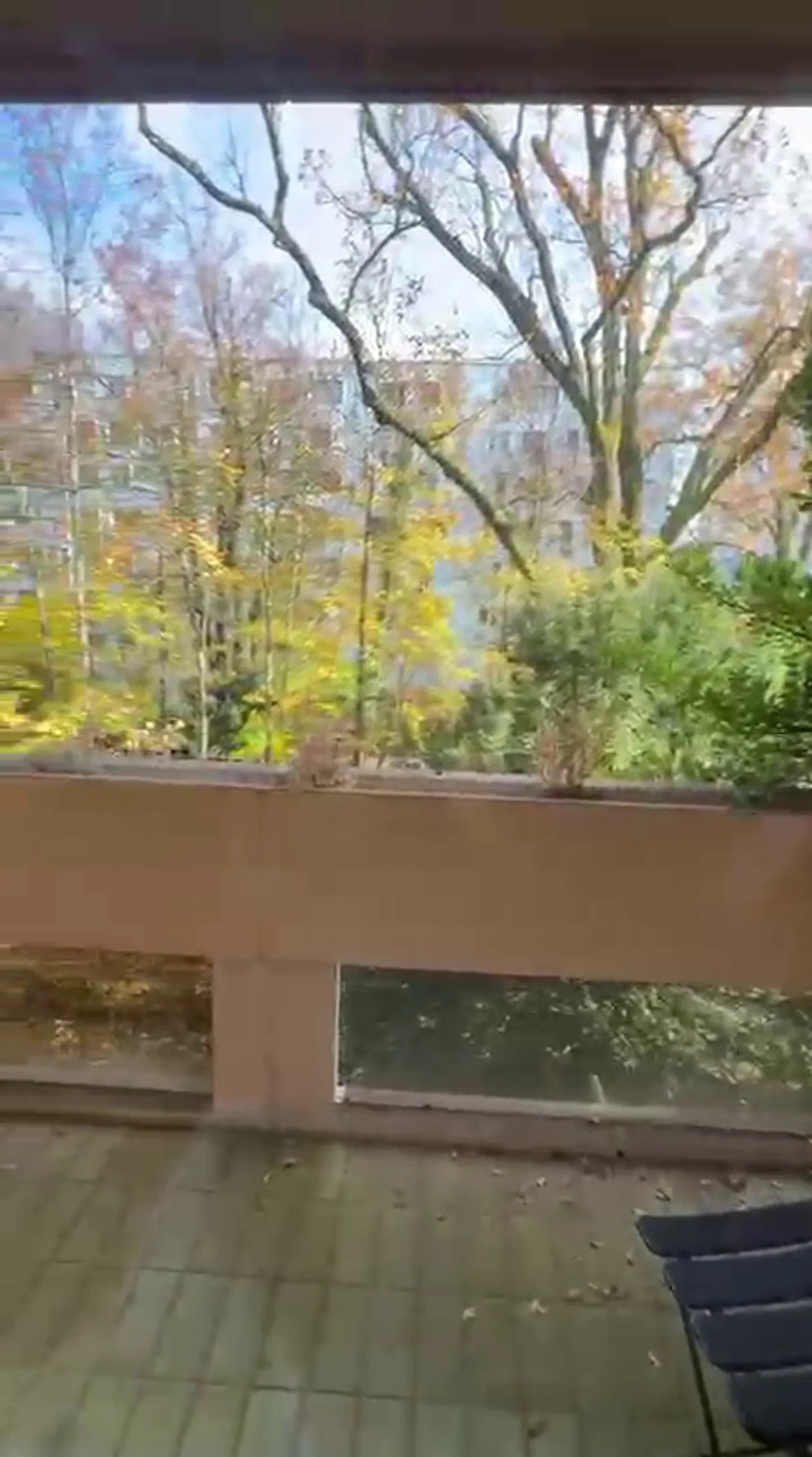 Bel appartamento di 5 stanze in una zona tranquilla con balconi a Malagnou - Foto 12 di 12