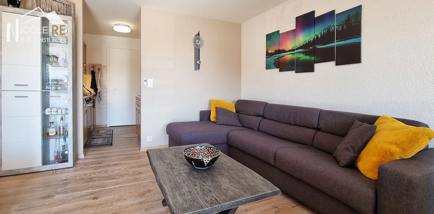 Chalet-Style Apartment with Terrace - Photo 8 of 25