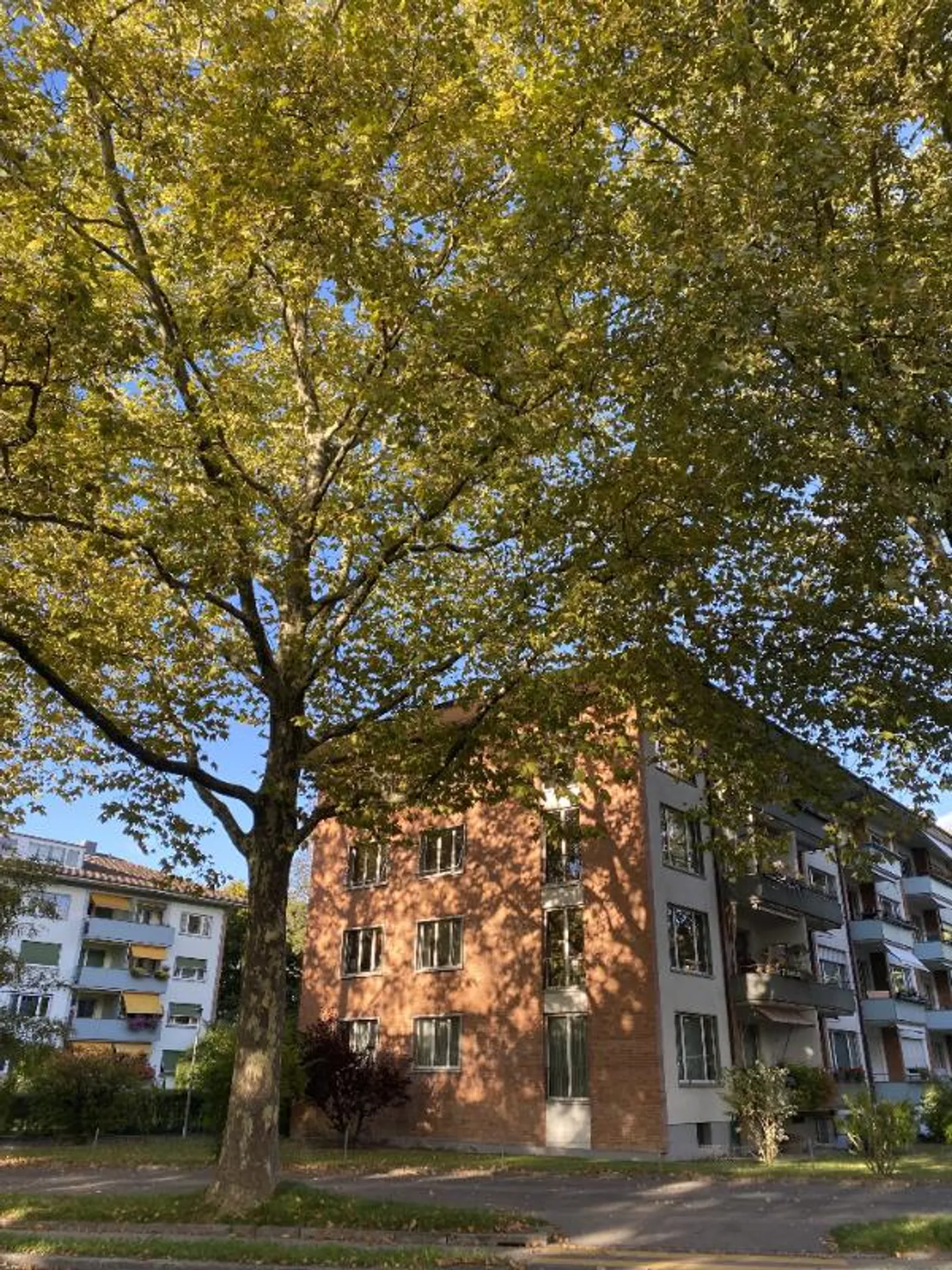 Appartamento luminoso, affascinante e conveniente con 4 stanze nel quartiere di Breitenrain - Foto 1 di 5