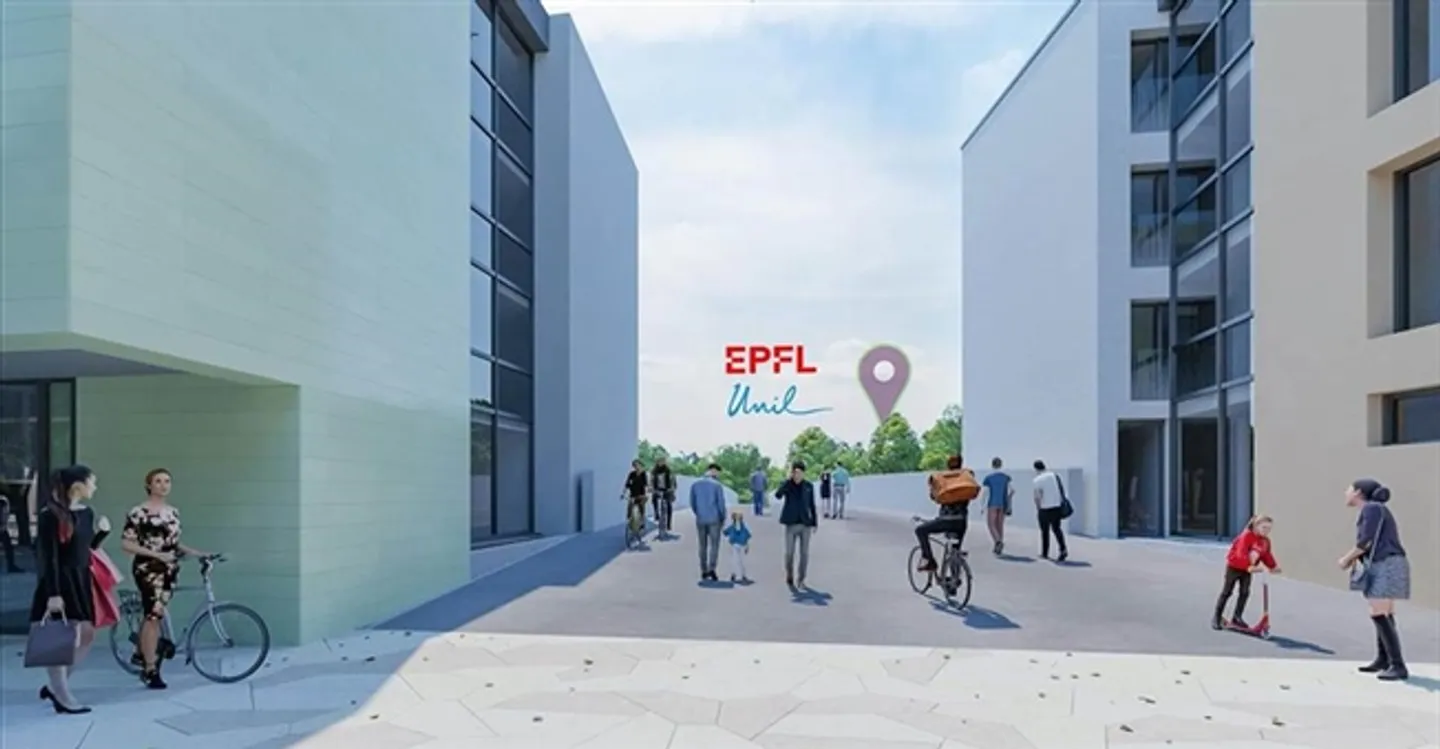 Commercio - Foto 7 di 9