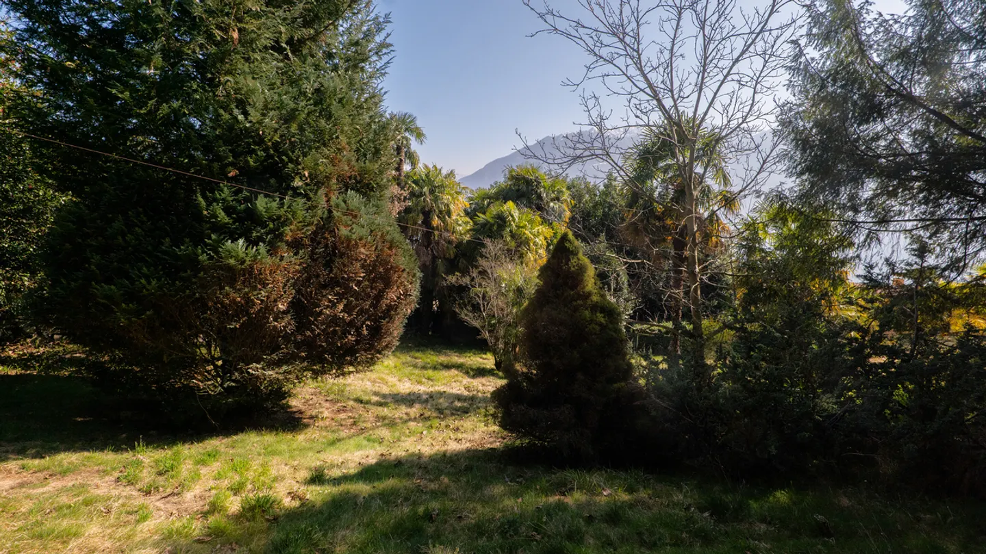 Sonniges Baugrundstück mit Seeblick - Foto 4 von 4