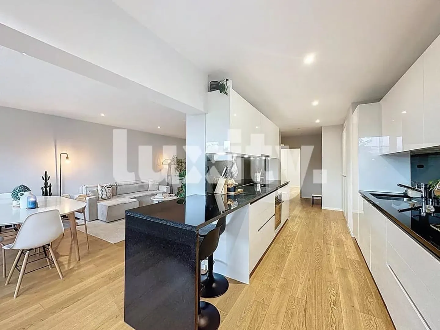 Appartement rénové - Eaux-Vives / Parc La Grange - Photo 2 sur 4