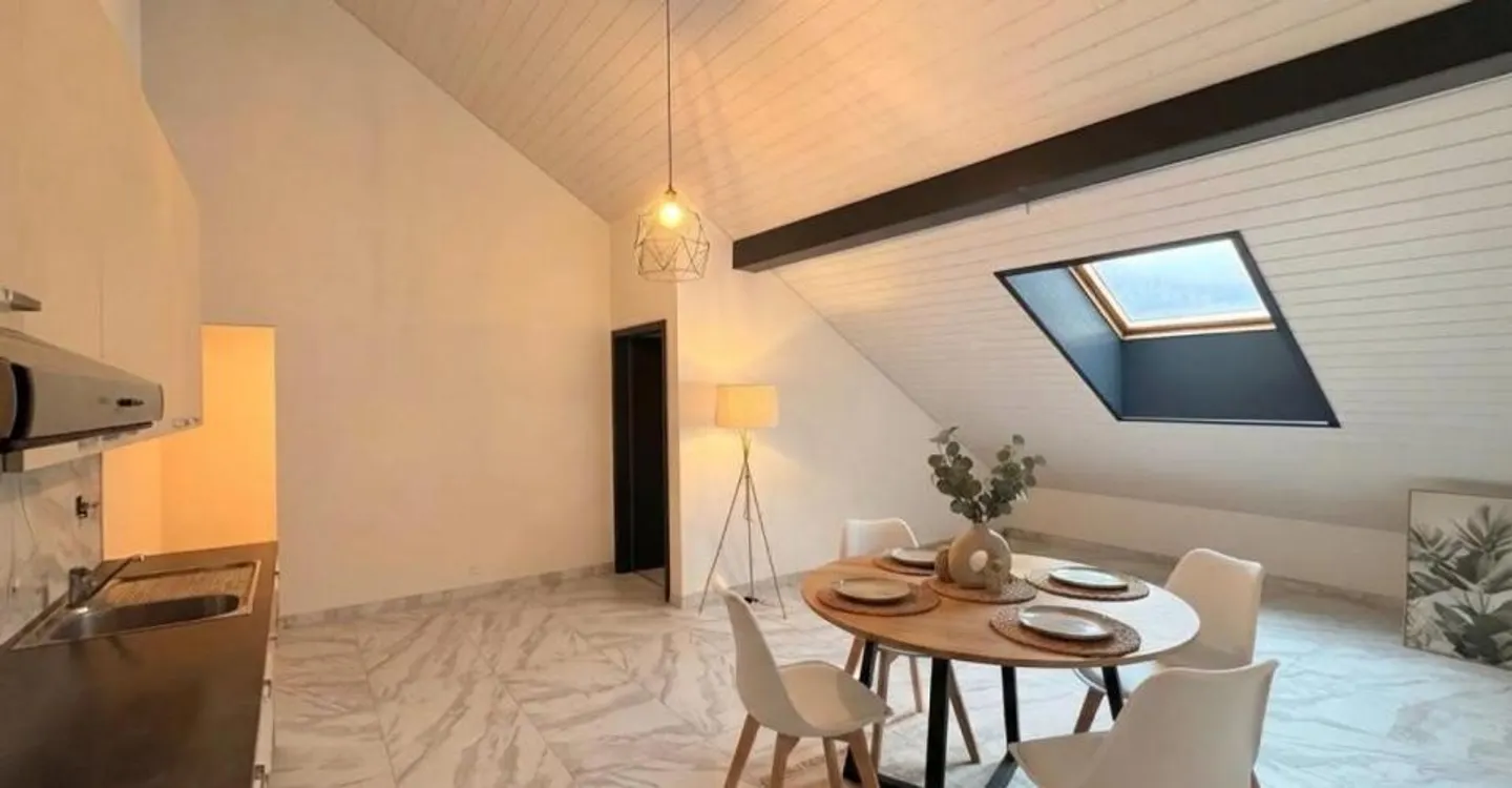 4.5 ROOM RENOVATED APARTMENT WITH TERRACE IN NOIRAIGUE - Photo 1 of 5