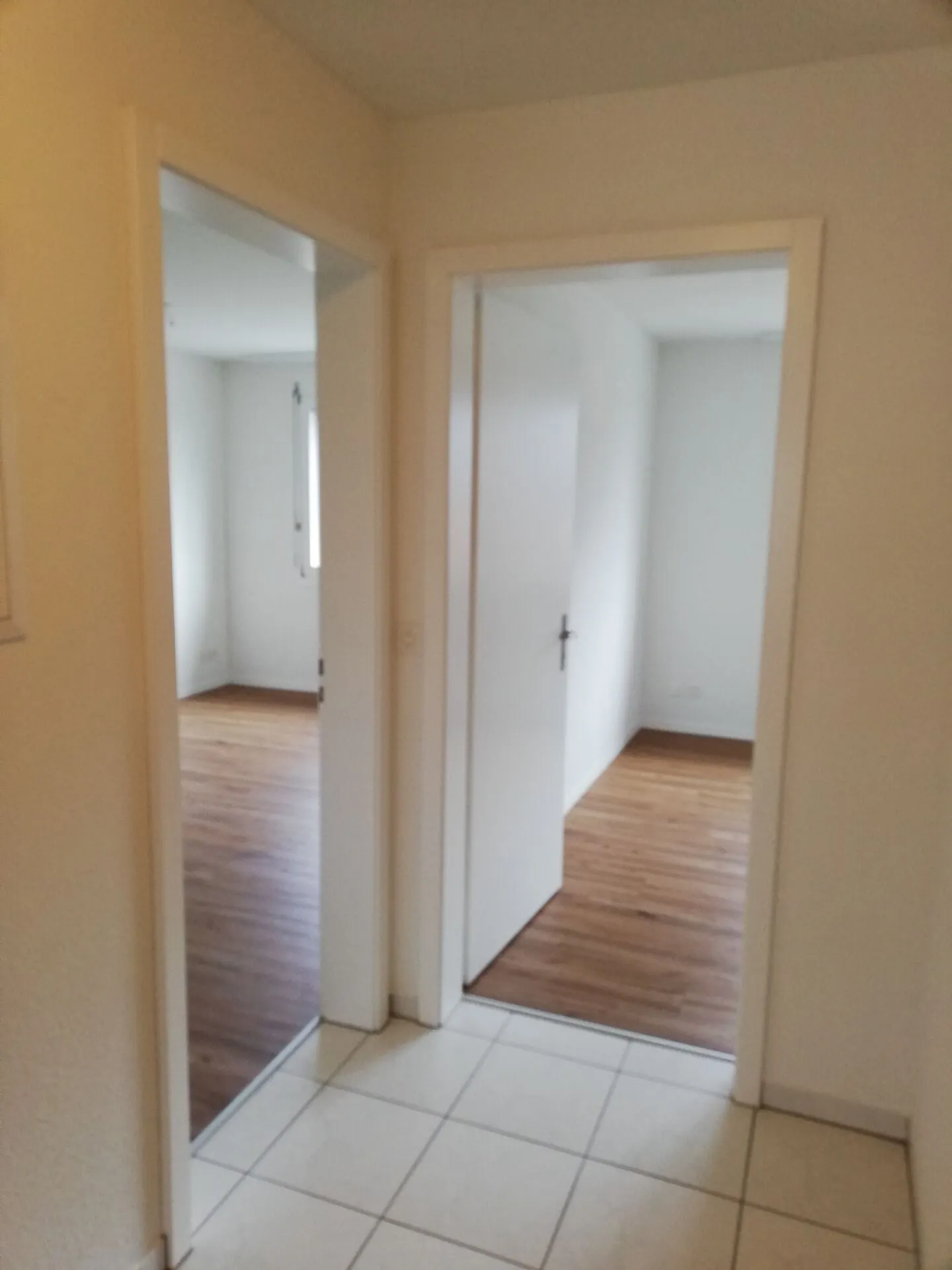 Spacious 4.5-room apartment - Photo 12 of 19