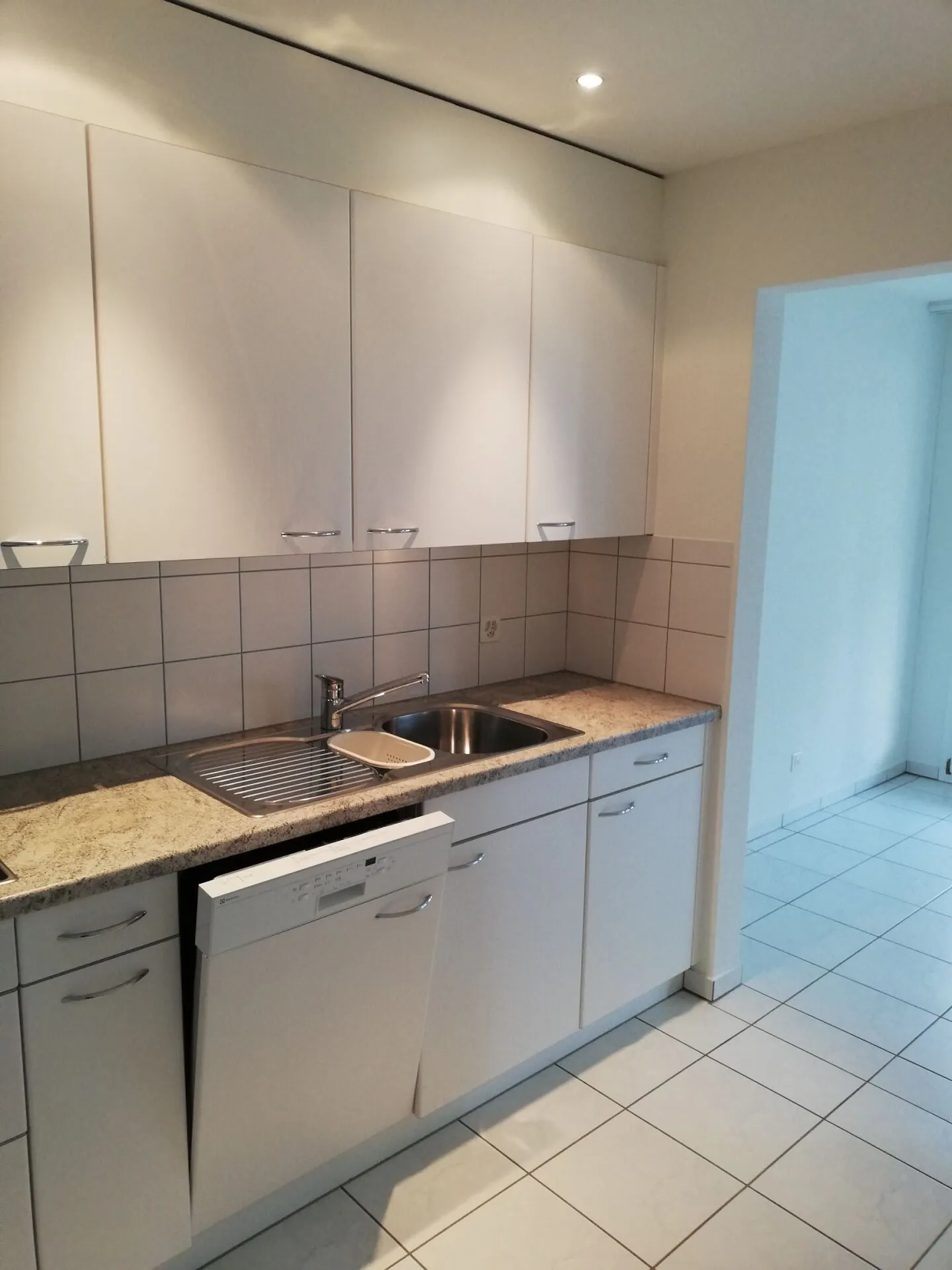 Spacious 4.5-room apartment - Photo 2 of 19