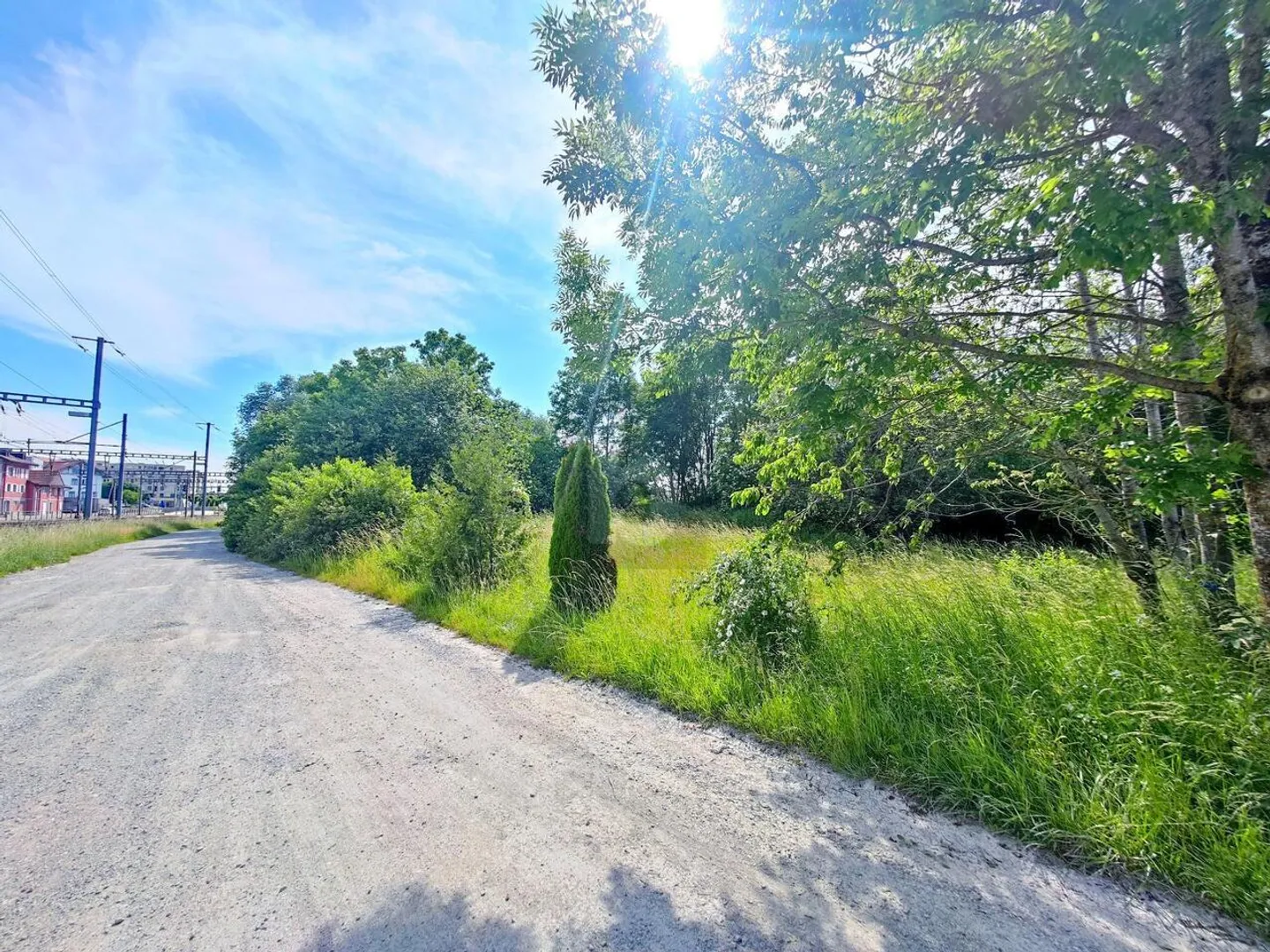 TERRENO AGRICOLO CON FONTE D'ACQUA PRIVATA - Foto 3 di 4