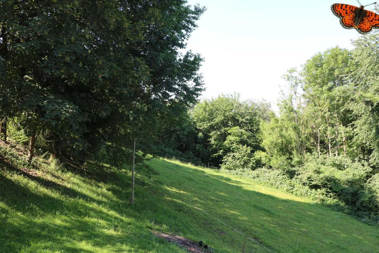 GERÄUMIGE 4-ZIMMER-WOHNUNG - Sehr ruhige Umgebung! - Foto 7 von 13