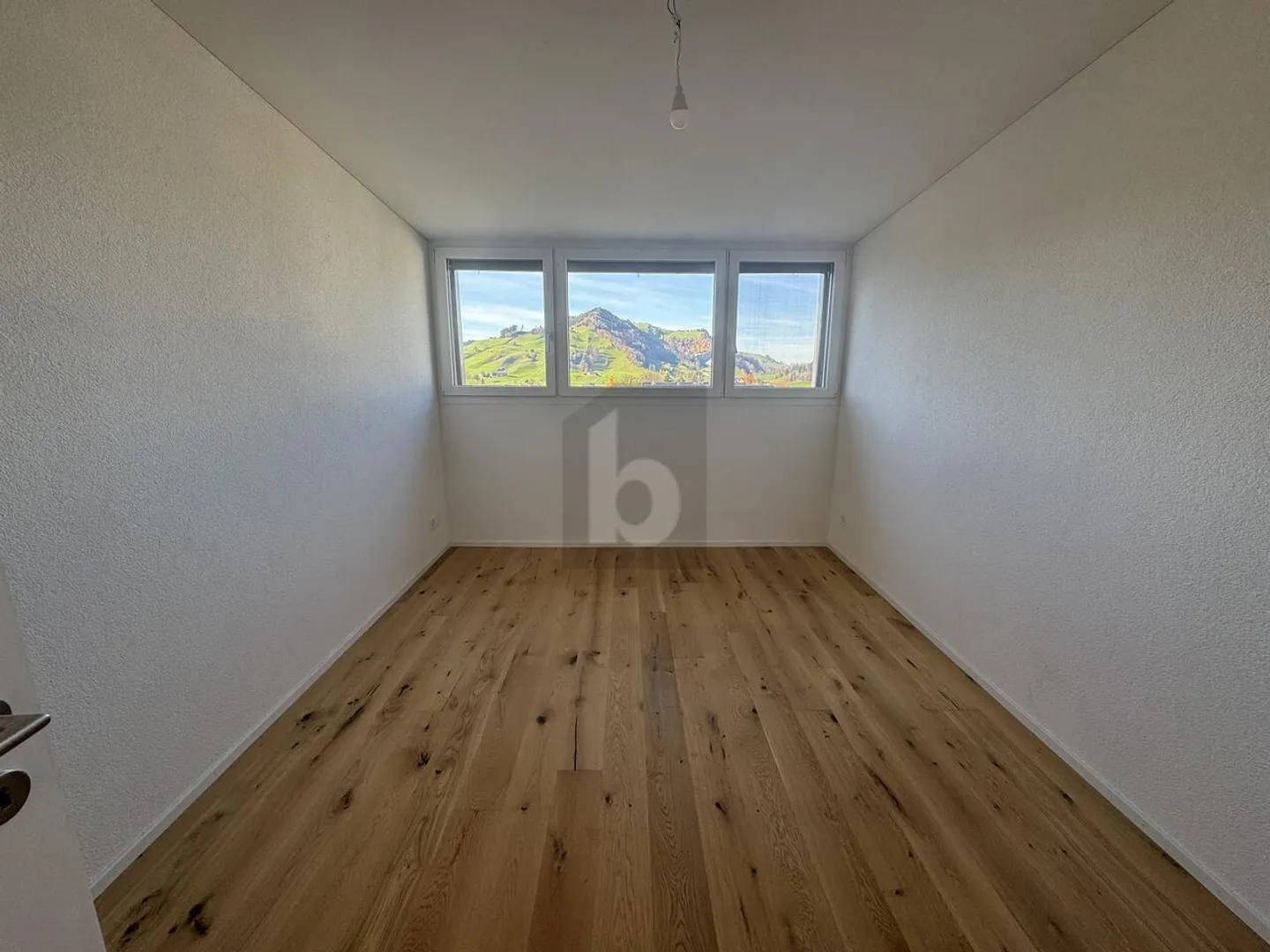 Stupenda Attico ad Appenzell - Foto 5 di 6