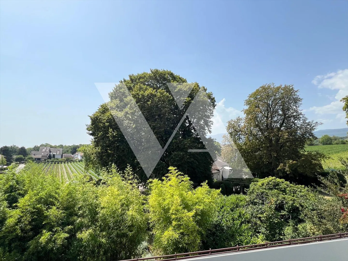 Appartamento 3.5 locali - Foto 2 di 10