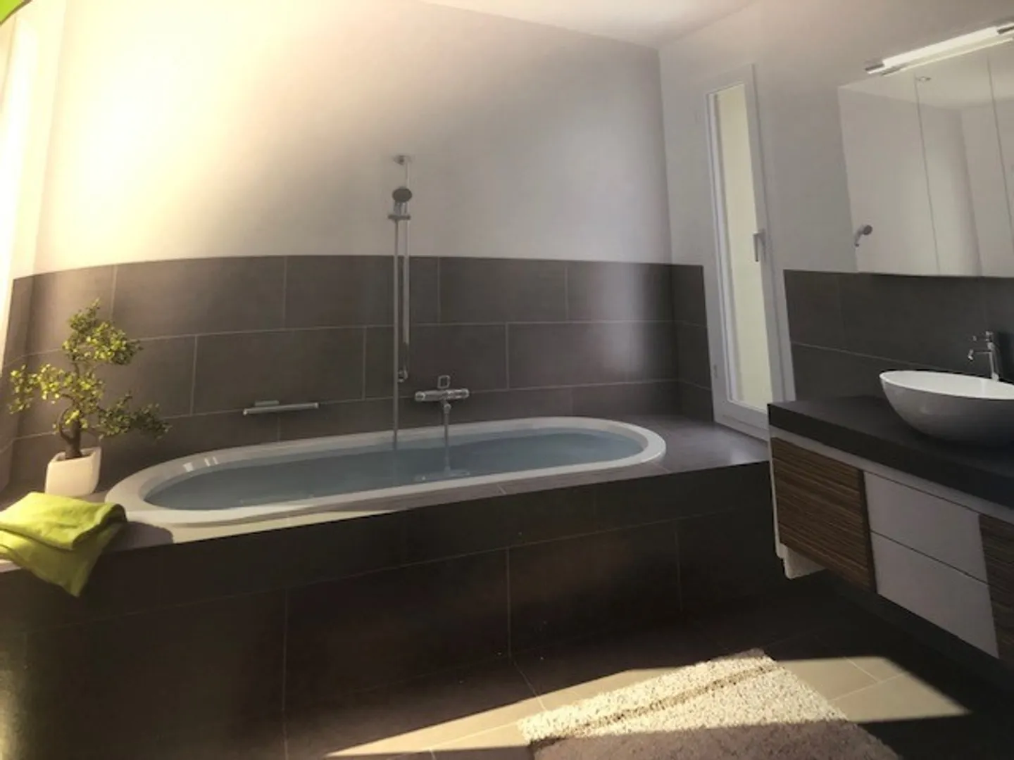 Newly built 3.5 room apartment with ownership standard for rent - Photo 3 of 6