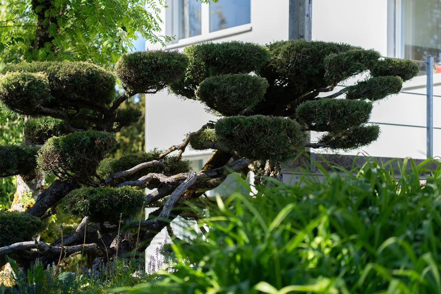 Hoch über dem Bielersee - Stilvolles Haus in Parkähnlichem Garten - Photo 15 sur 19