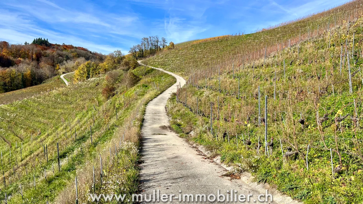 Charmantes Wochenendchalet 5 Minuten von Aubonne entfernt - Foto 9 von 13