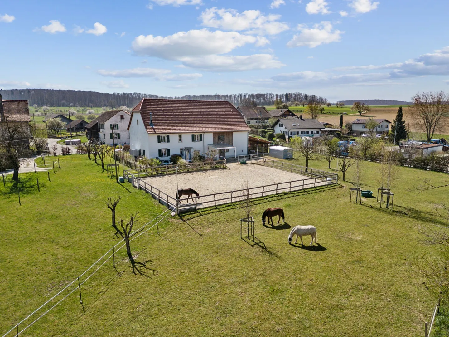 IMMOBILE EQUESTRE RISTRUTTURATO IN UN'IDILLIACA LOCALITÀ PER LA CUSTODIA PRIVATA DEI CAVALLI - Foto 9 di 9