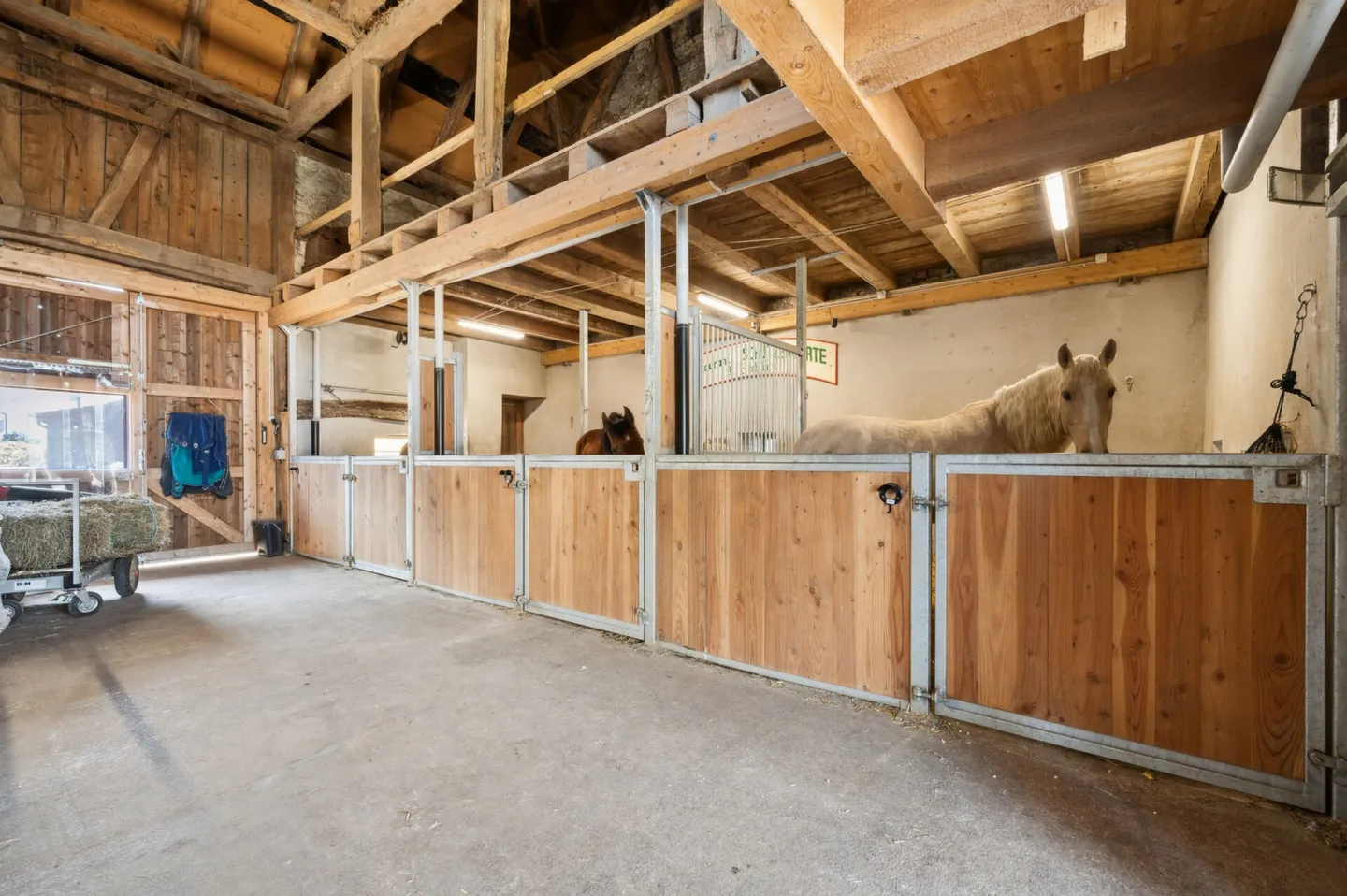 IMMOBILE EQUESTRE RISTRUTTURATO IN UN'IDILLIACA LOCALITÀ PER LA CUSTODIA PRIVATA DEI CAVALLI - Foto 6 di 9