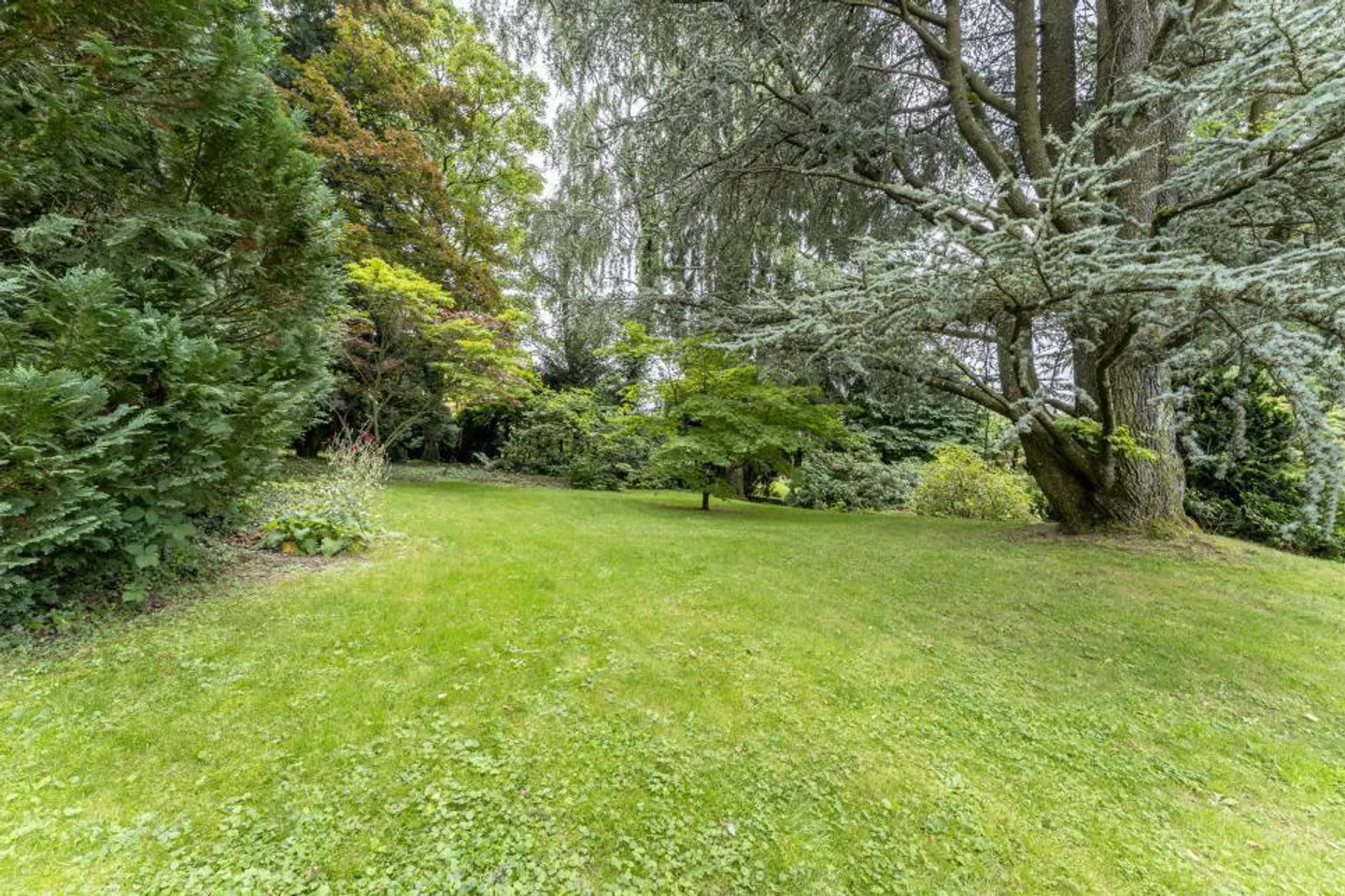 PROPRIETÀ ELEVATA VICINO A LAUSANNE - Foto 4 di 13