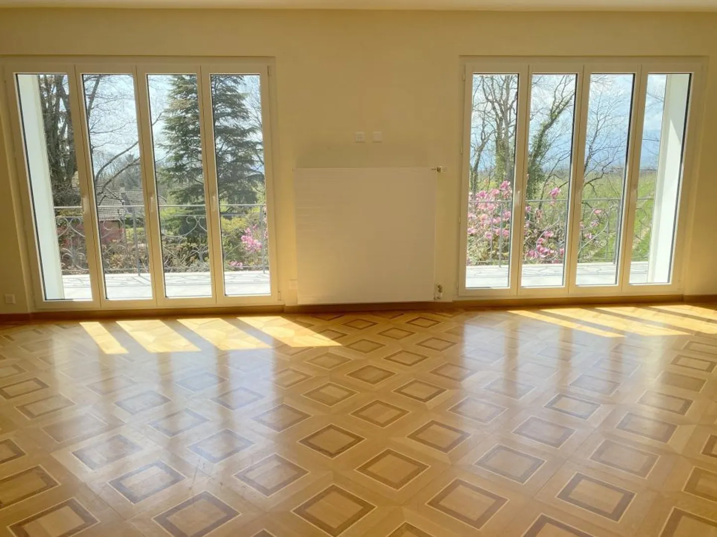 PROPRIETÀ ELEVATA VICINO A LAUSANNE - Foto 7 di 13