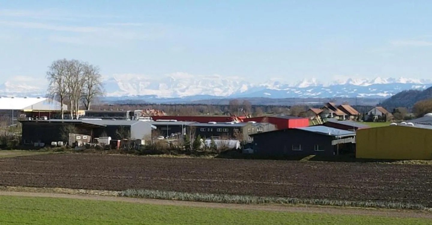 Charmante Attikwohnung mit Aussicht - Foto 2 von 5