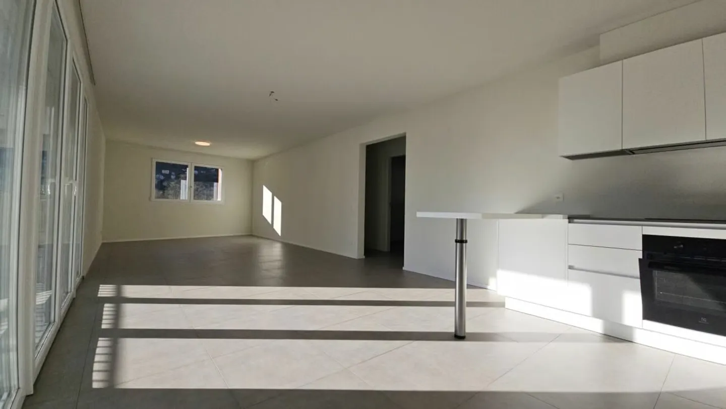 SPACIOUS AND MODERN APARTMENT IN MALVAGLIA - Photo 8 of 19