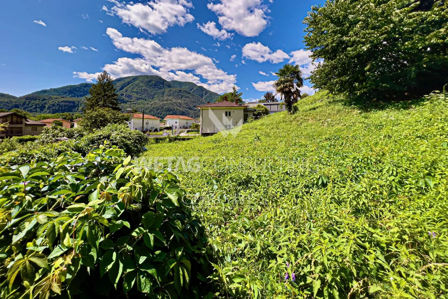 Beautiful building land in Tegna for sale with excellent open view towards Lake Maggiore - Photo 5 of 10