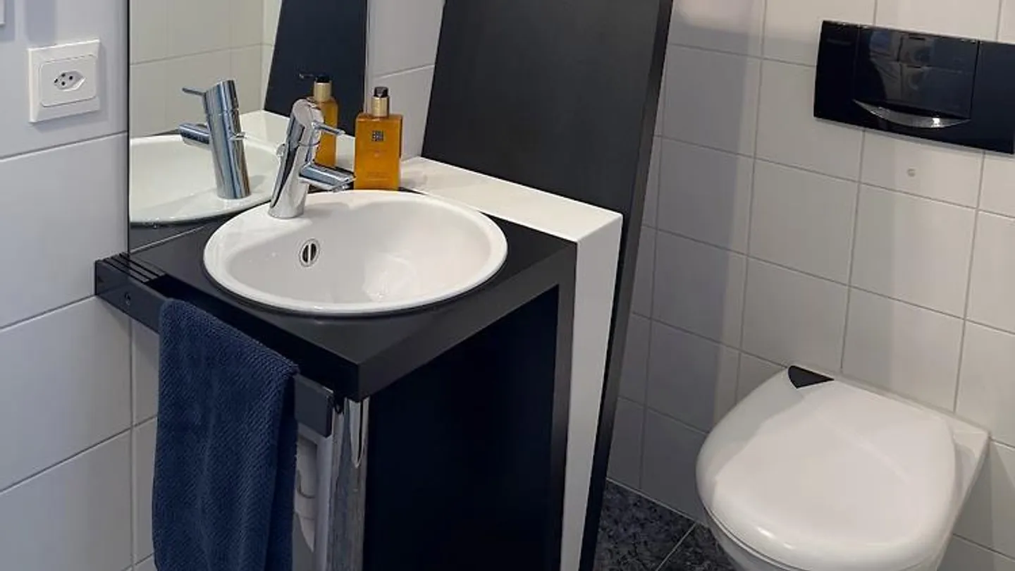 3½ ROOM APARTMENT IN UETENDORF (BE), FURNISHED, TEMPORARY - Photo 6 of 7