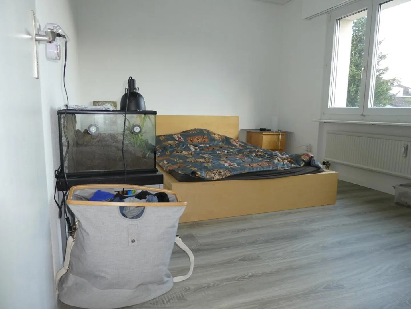 Charmante Wohnung mit Wintergarten - Foto 5 von 7