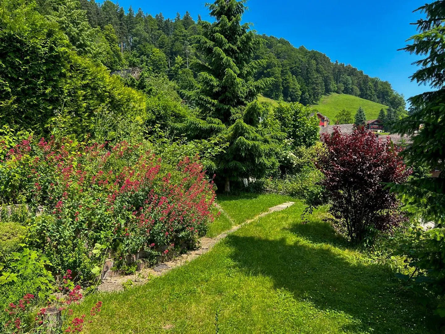 Casa unifamiliare soleggiata nel verde - Foto 3 di 8