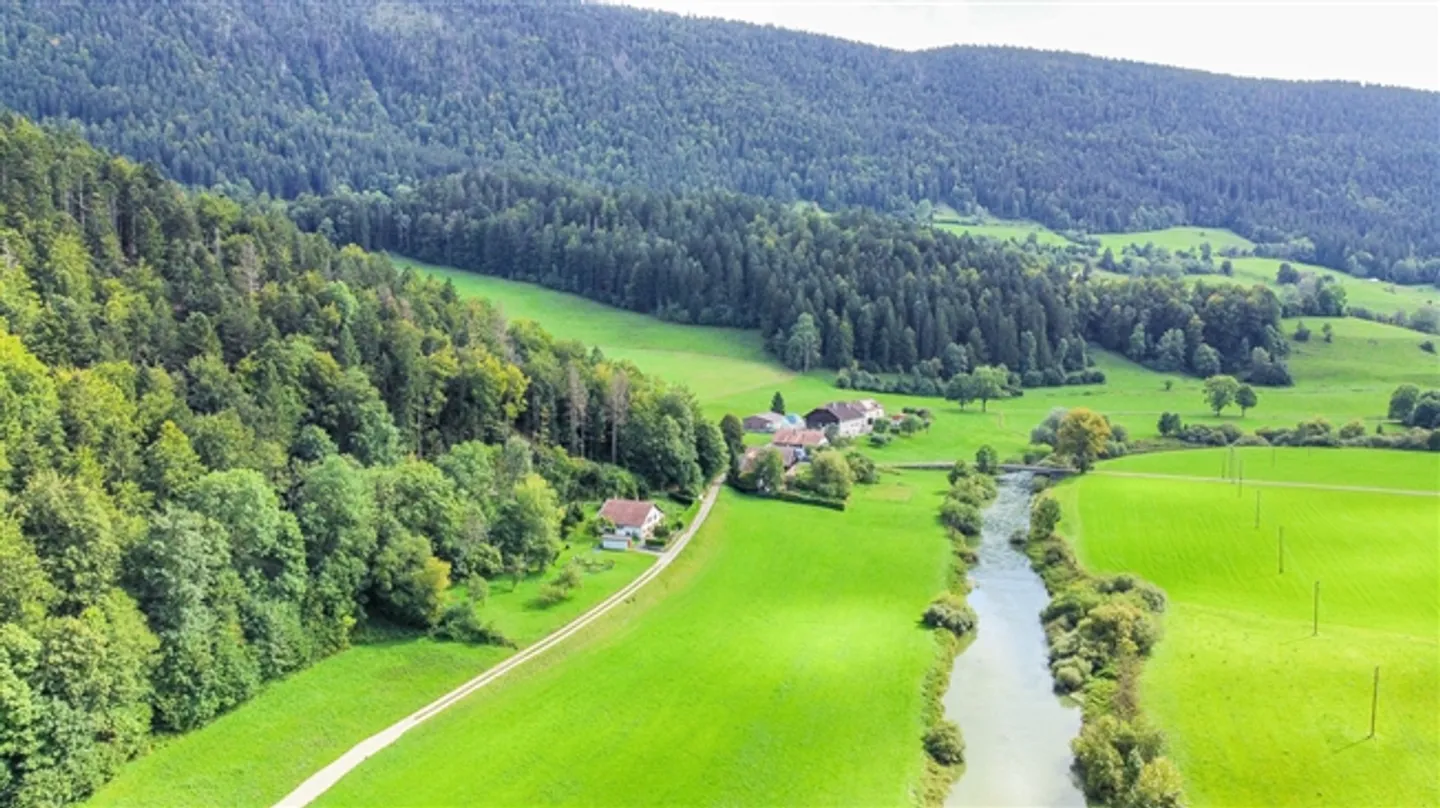 Vecchio casale su un terreno di 2'169 m2 + terreno di 6'072 - Foto 3 di 20