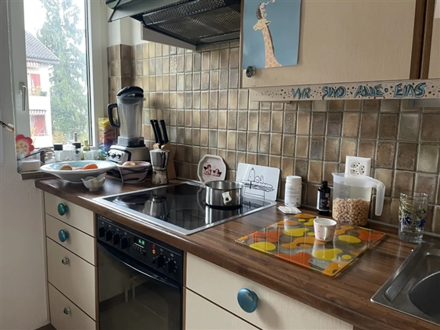 APPARTAMENTO 2 STANZE A ZURIGO - DISTRETTO 10 HÖNGG, ARREDATO, TEMPORANEO - Foto 5 di 10