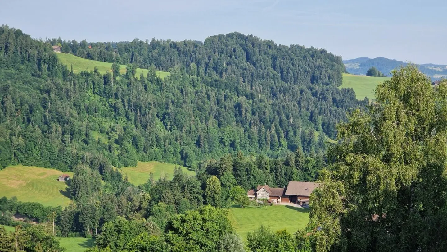 Weitblick Sonnmatt: Wg. A 4.1 - Photo 21 of 34