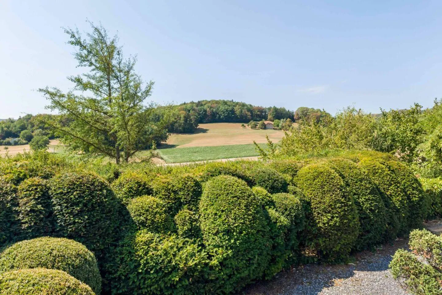 Einfamilienhaus-Bungalow mit exklusiver Gartenanlage und Gewerberau... - Photo 15 of 18