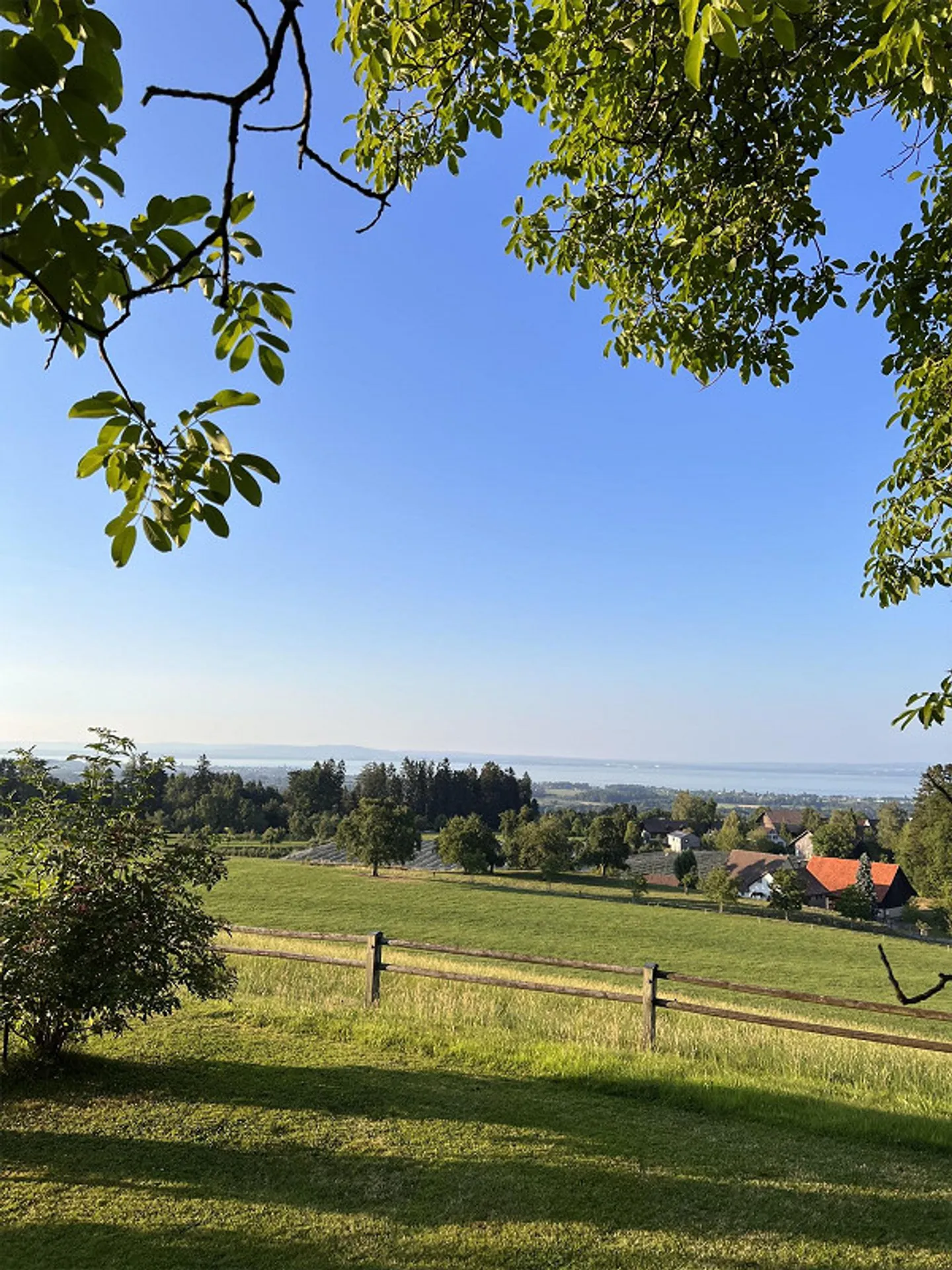 CHARME TRIFFT LUXUS - Traumwohnung im Hochparterre mit Aussicht - Photo 1 of 19