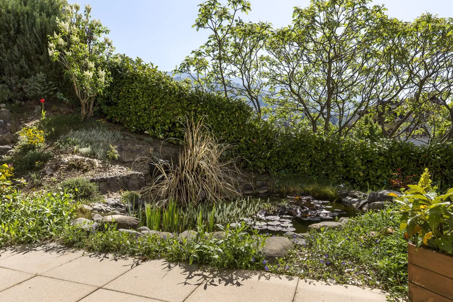 Beautiful villa with pool and exceptional panoramic view - Photo 13 of 13