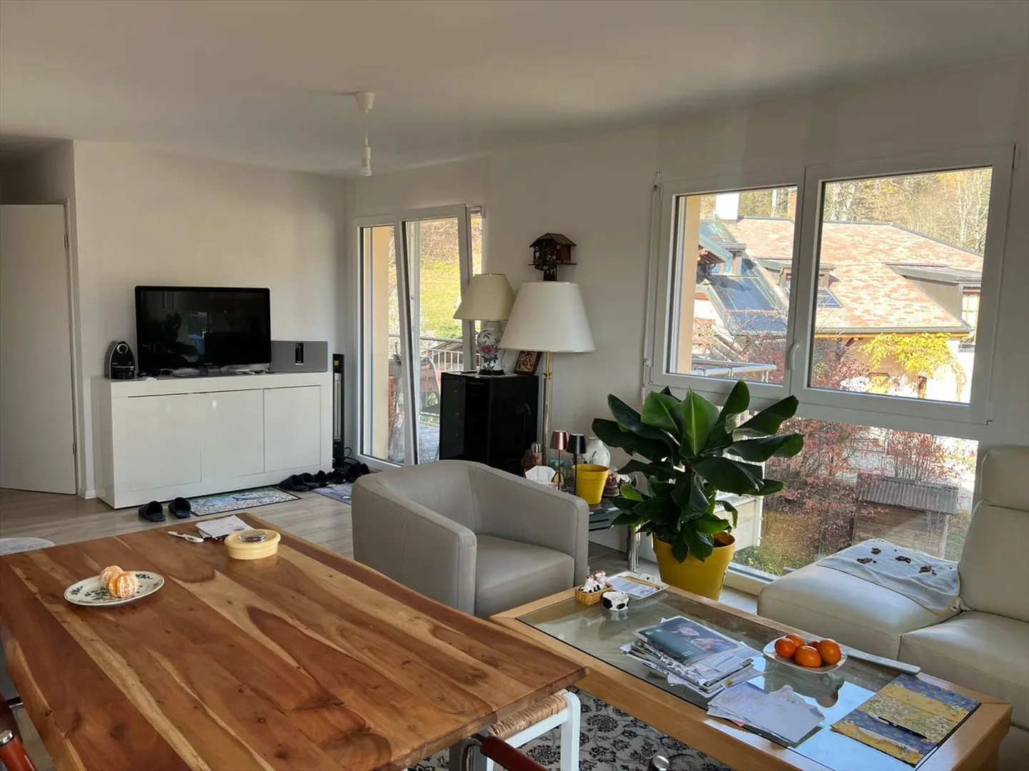 Magnificent 3.5-room apartment with plenty of light and beautiful views - Photo 6 of 26