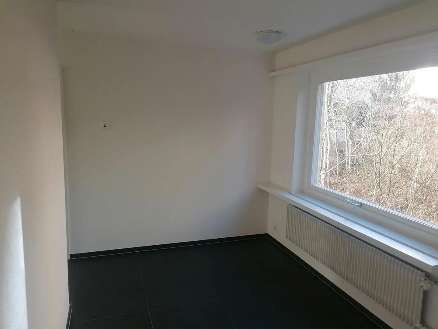 Charming 4.5-room apartment with sunny balcony - Photo 9 of 13