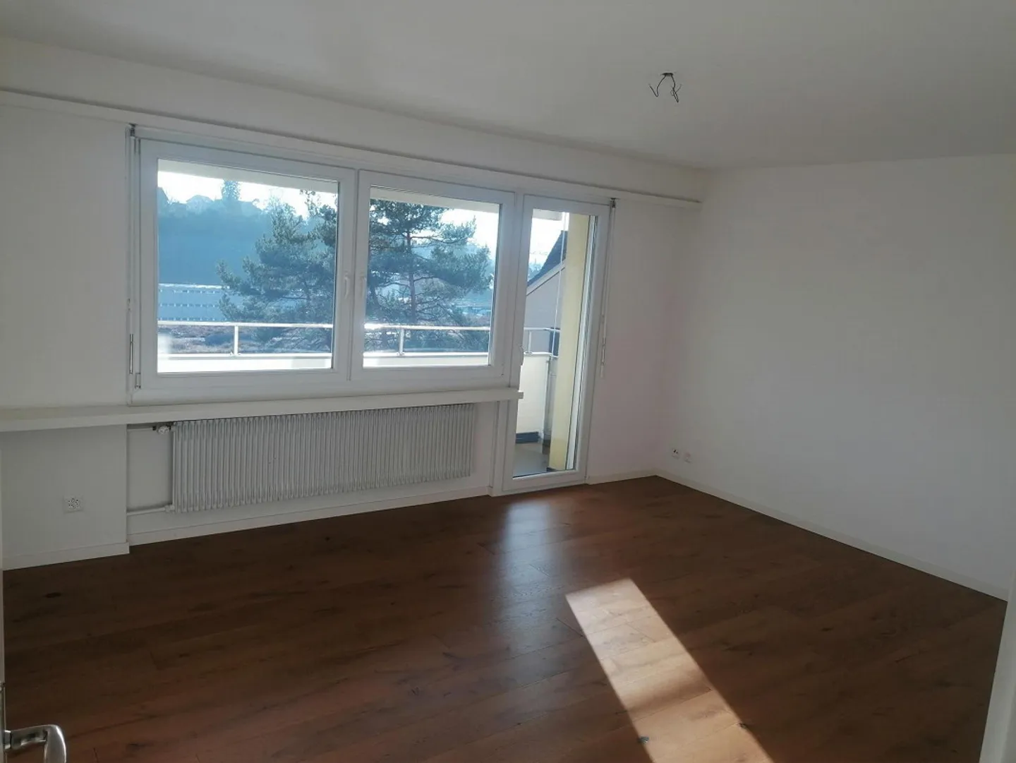 Charming 4.5-room apartment with sunny balcony - Photo 2 of 13