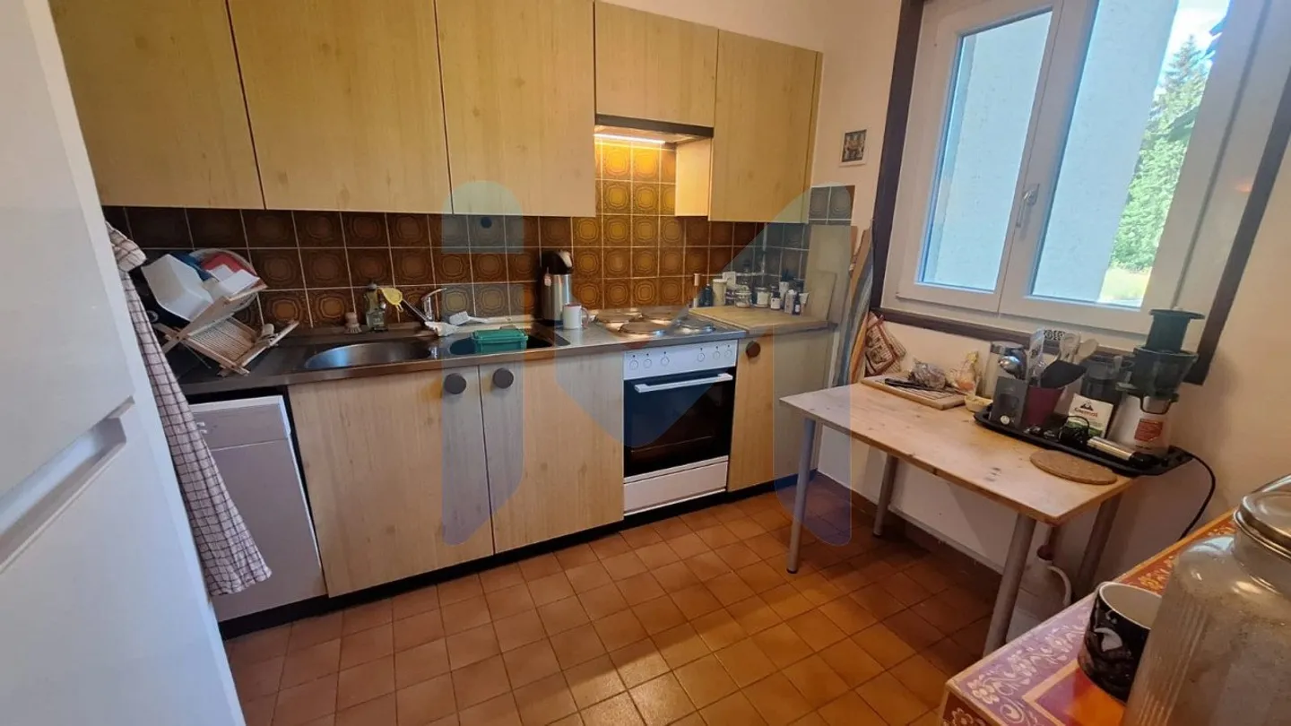 URGENT: 4 rooms in a quiet and green setting available from August 1, 2026 - Photo 7 of 9