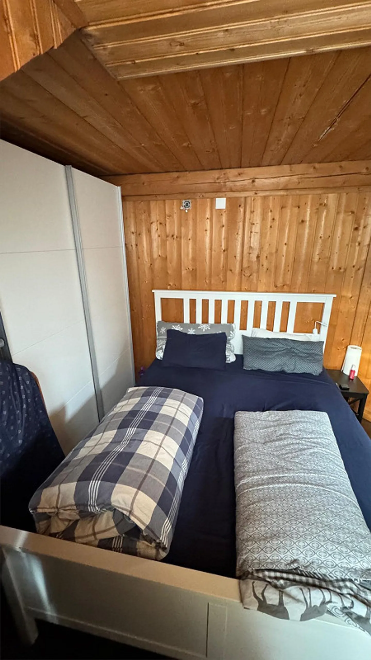 Loft Wohnung direkt beim Mineralheilbad St. Margrethen - Foto 7 von 11