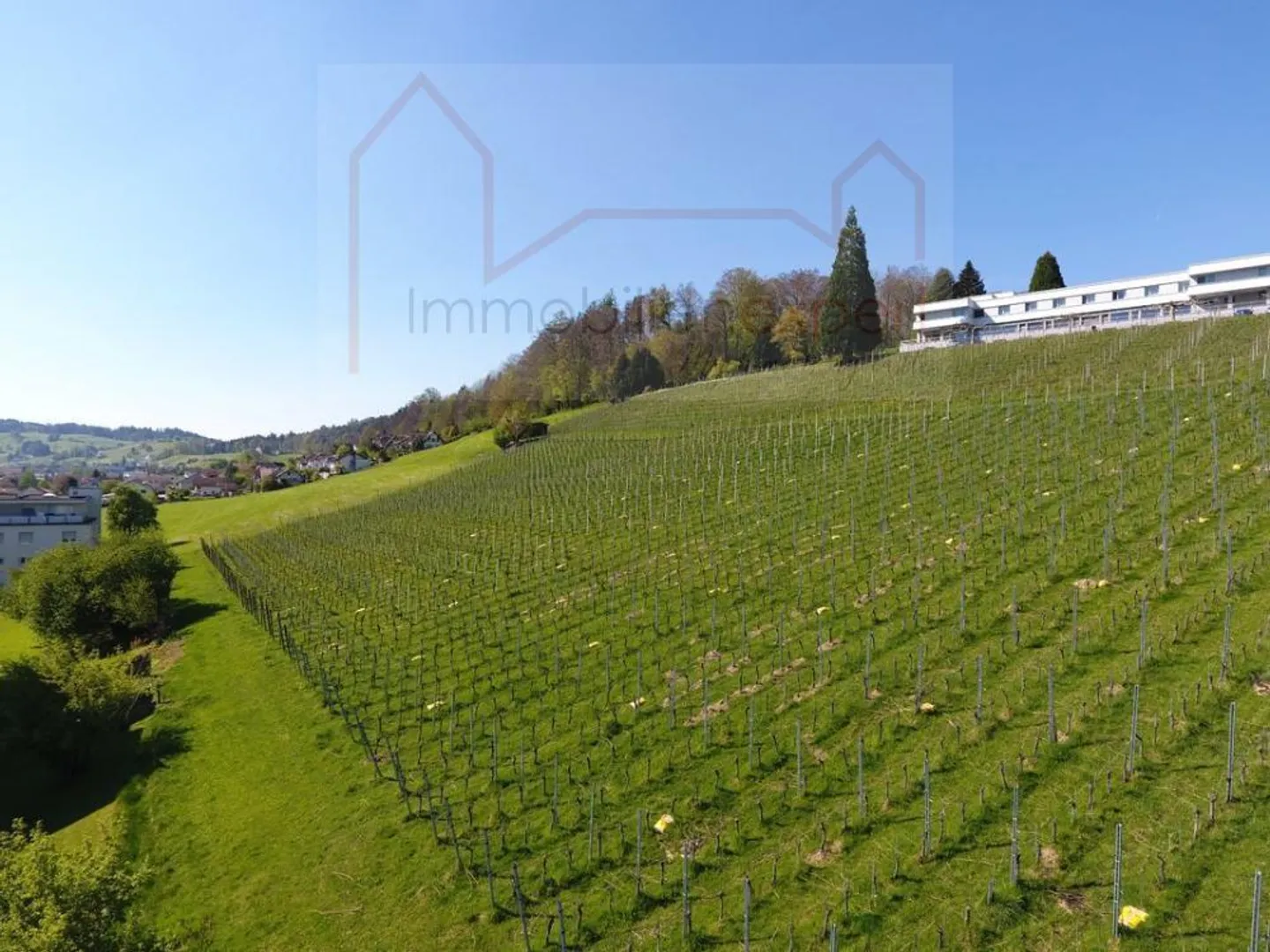 Zu Vermieten 5.5 Zimmerwohnung - Foto 2 von 10