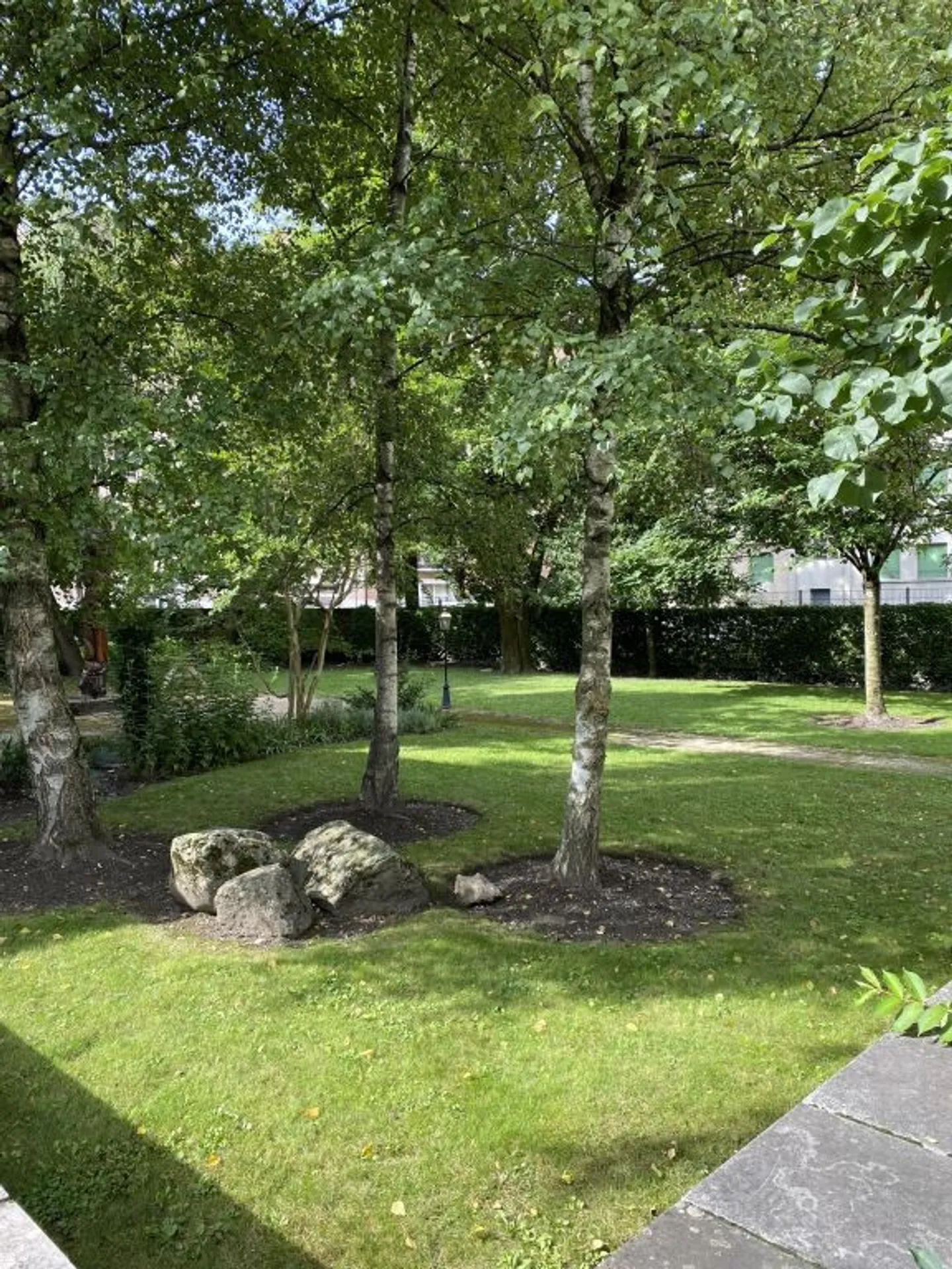 Appartamento in affitto - Foto 7 di 8