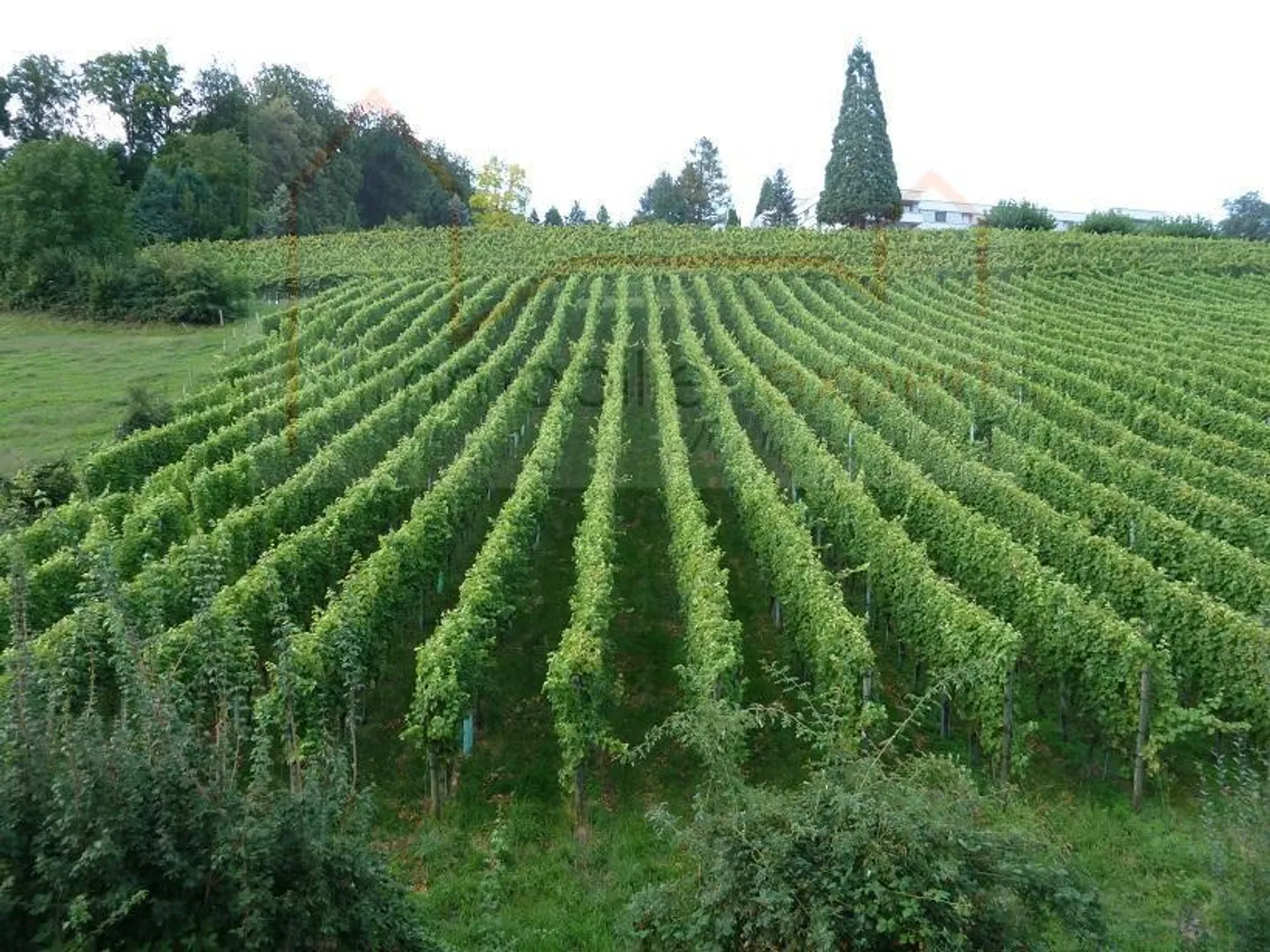 Zu Vermieten 5.5 Zimmerwohnung - Foto 3 von 10