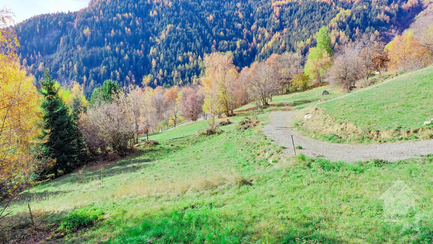 Chalet con 5,5 camere su piano, tranquillo, soleggiato - Foto 1 di 4