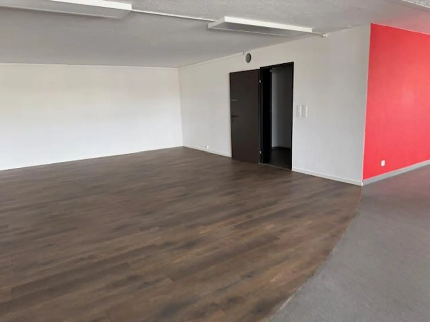 Modern & Versatile Commercial Space in St. Gallen - Photo 9 of 11