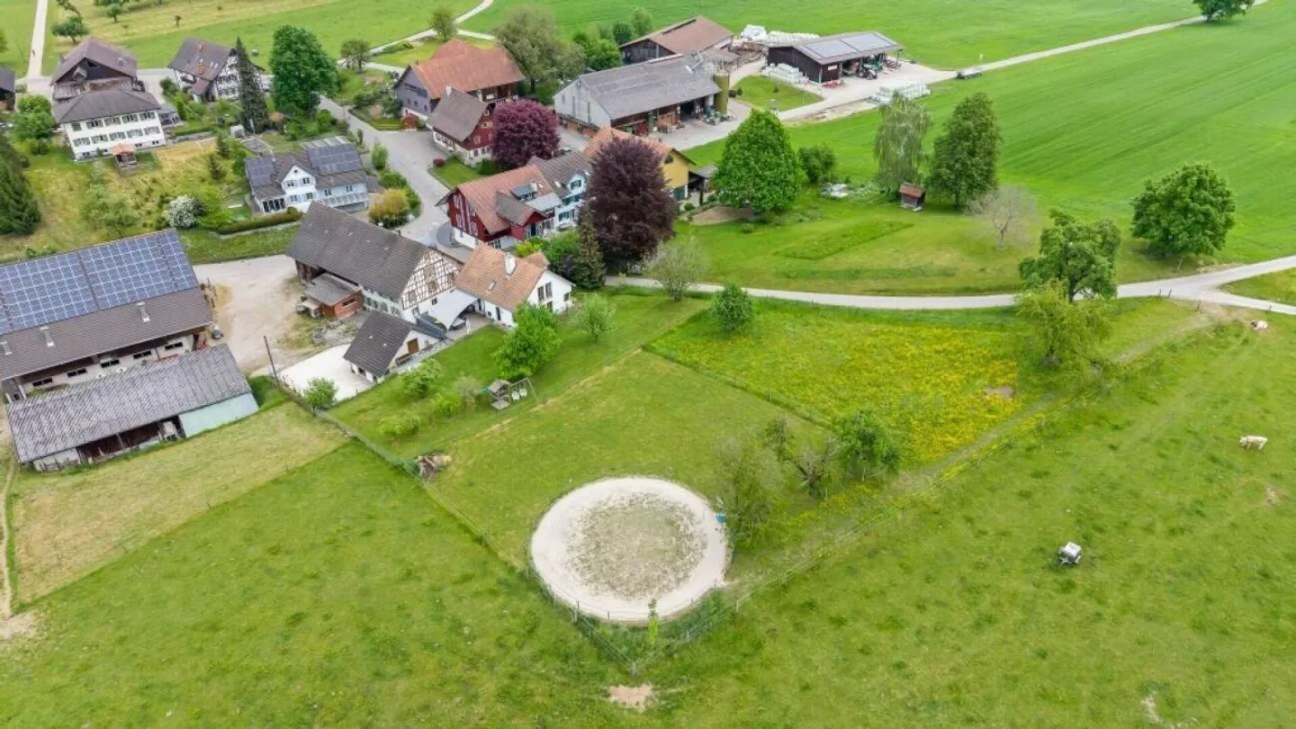 Bijou- Pferdeparadies! Einfamilienhaus mit Pferdestall - Foto 9 von 29