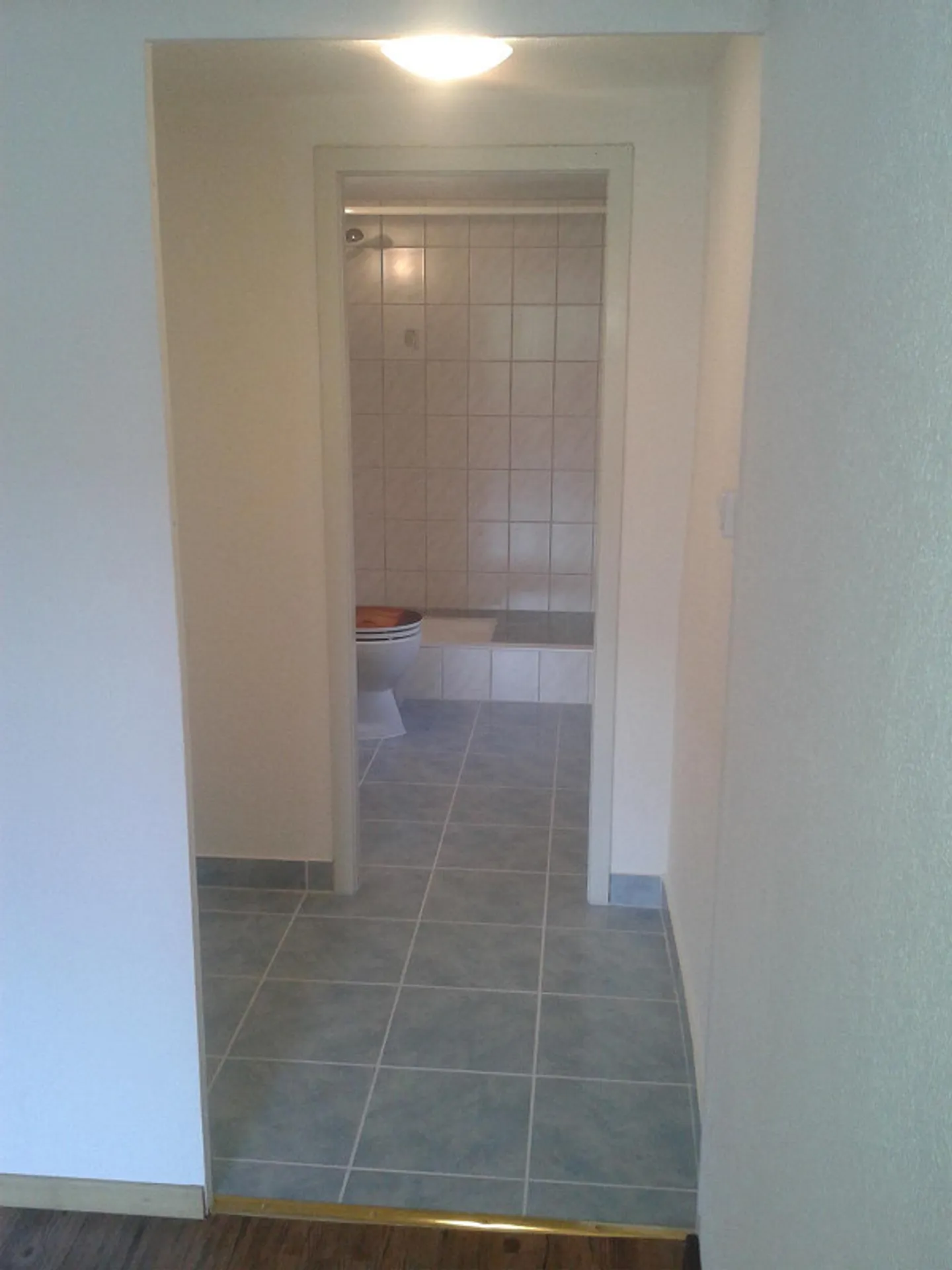 À louer – Charmant appartement 1½ pièces à Rothenfluh - Photo 7 sur 9